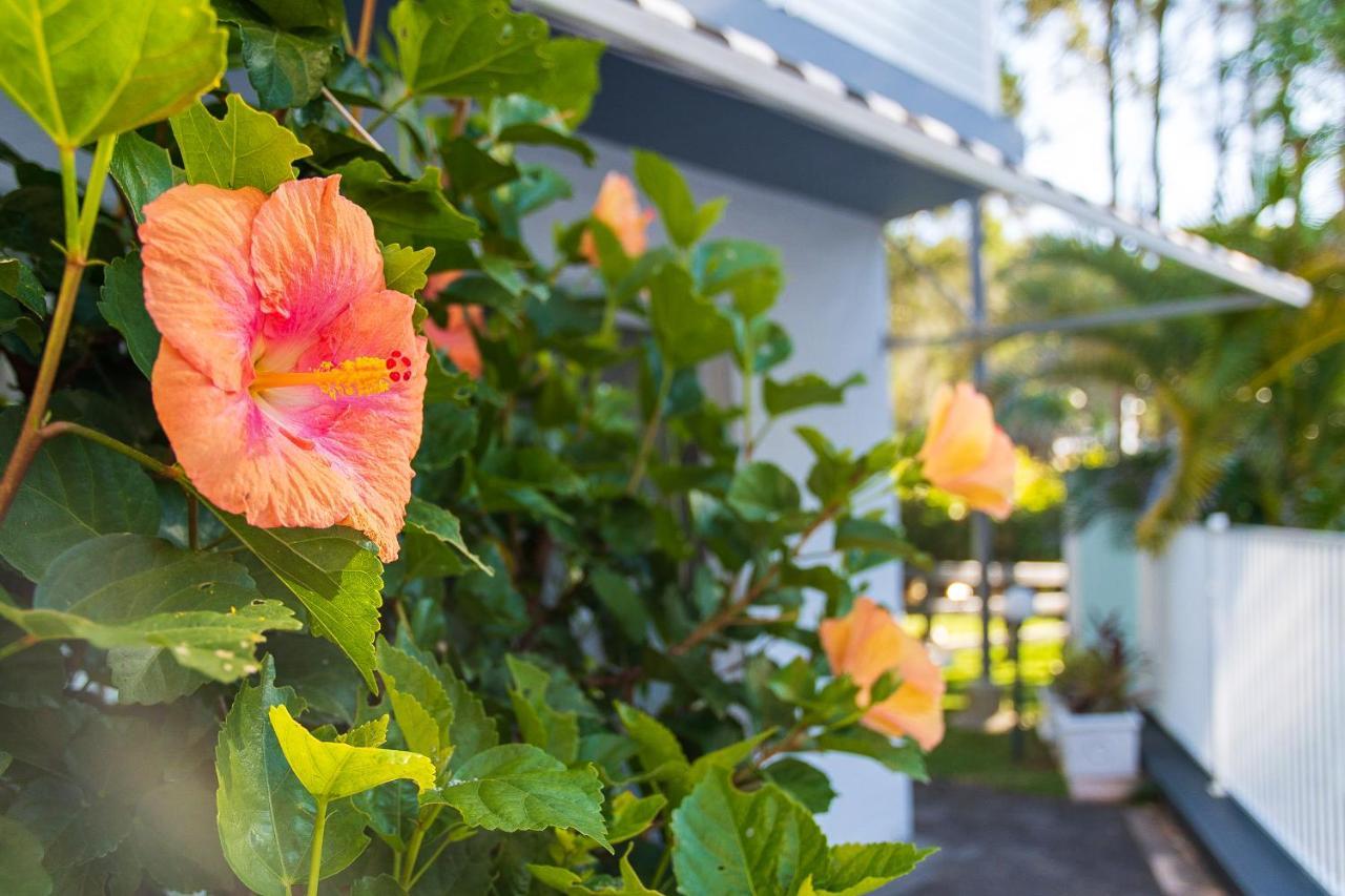 Blueys Motel Blueys Beach Εξωτερικό φωτογραφία